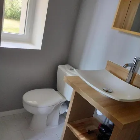 Des Bernaches Lhommaize