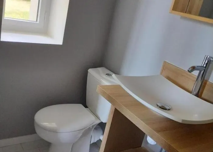 Des Bernaches Lhommaize