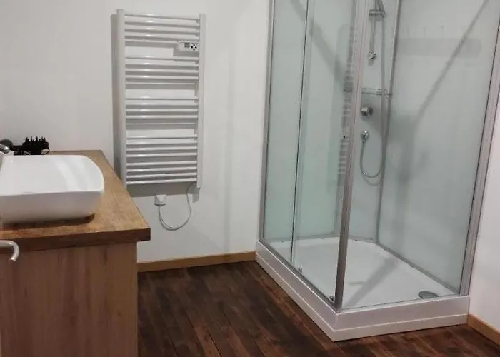 Des Bernaches * Lhommaize